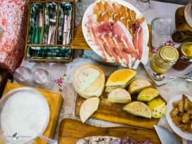 {{brizy_dc_image_alt imageSrc=