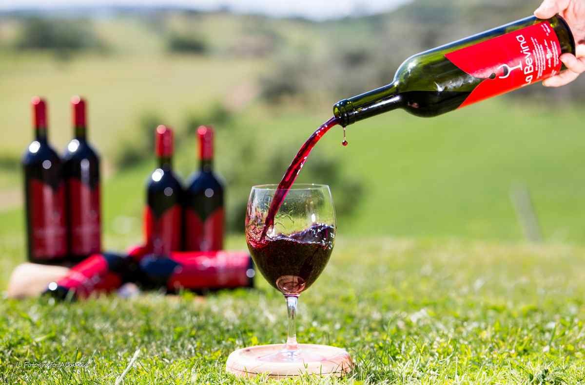 Sangiovese della Valle degli Ulivi versato nel calice, sul prato davanti al caseificio